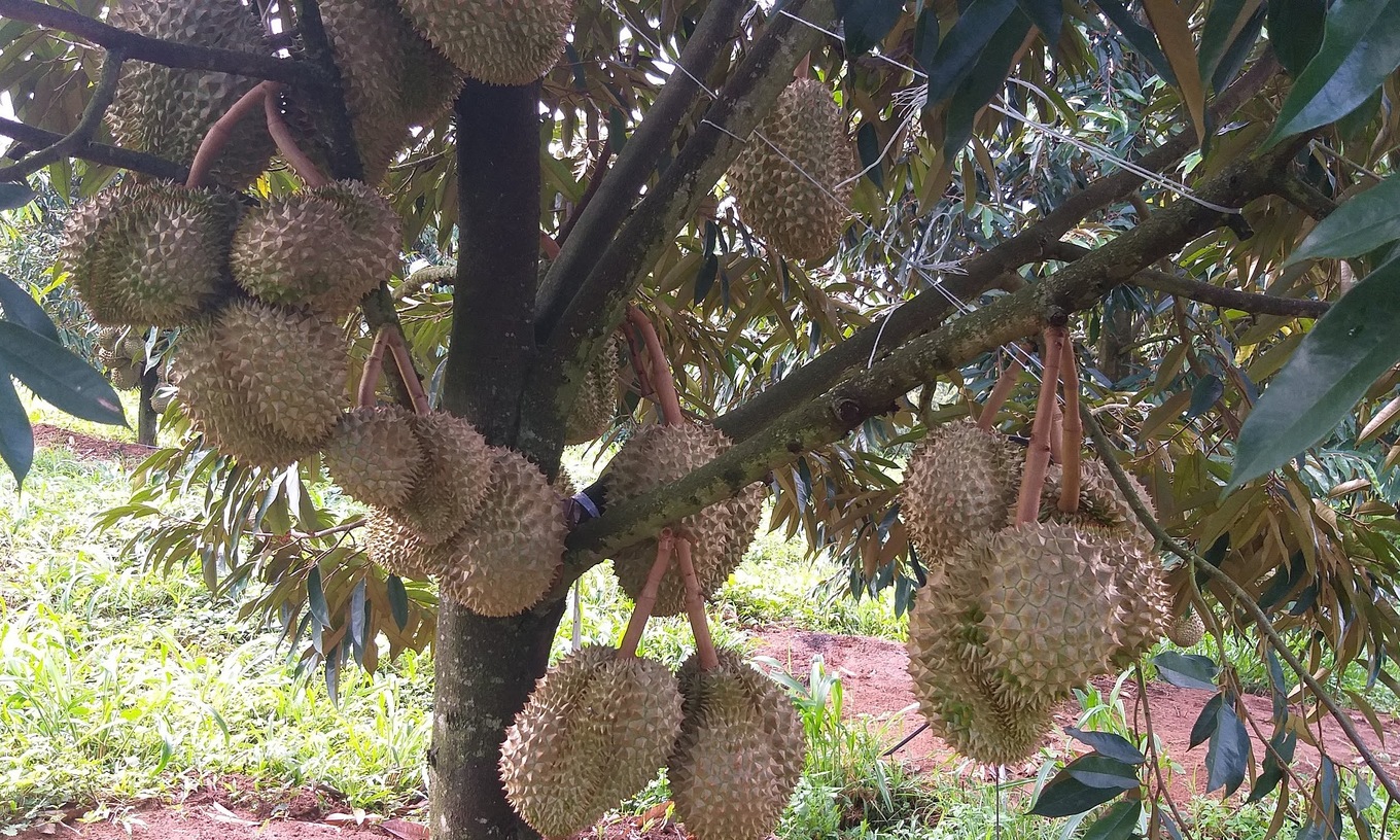 4394 1663390443 r 680x408