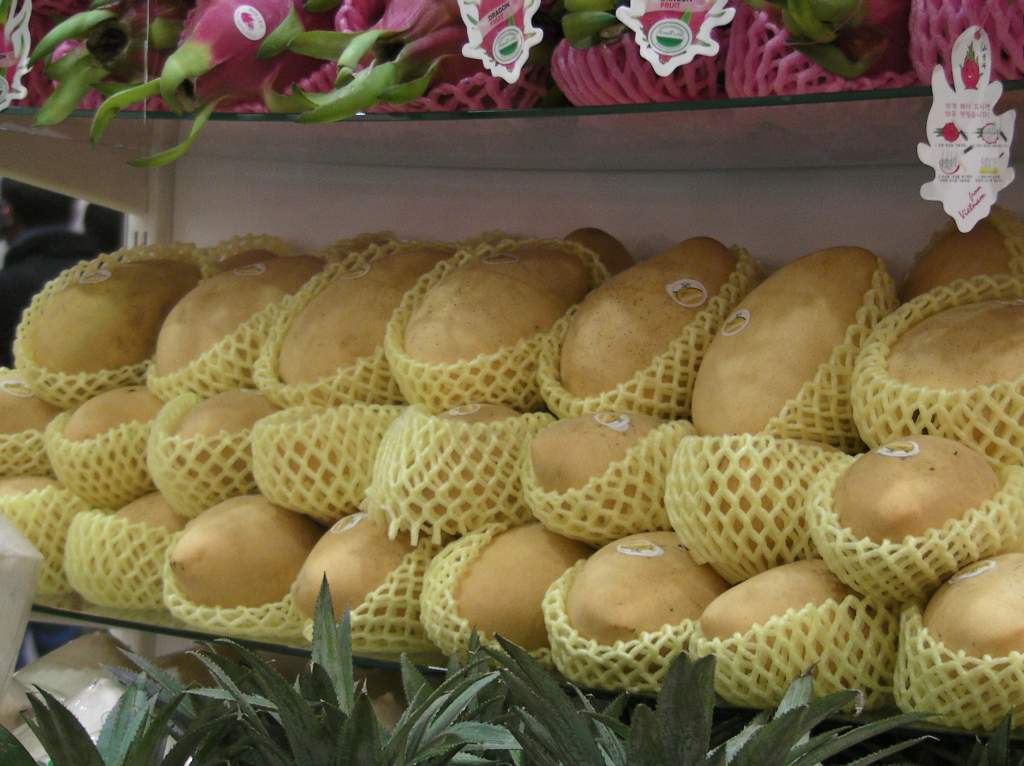 SANYO DIGITAL CAMERA