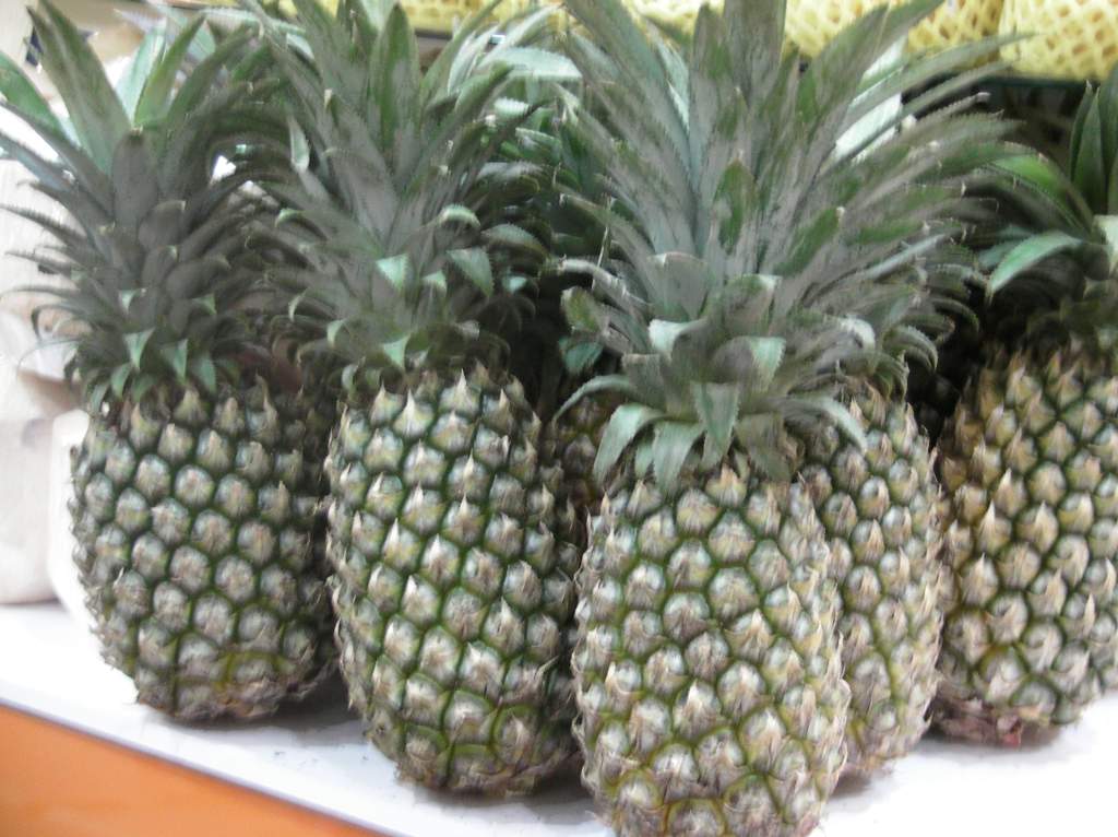 SANYO DIGITAL CAMERA