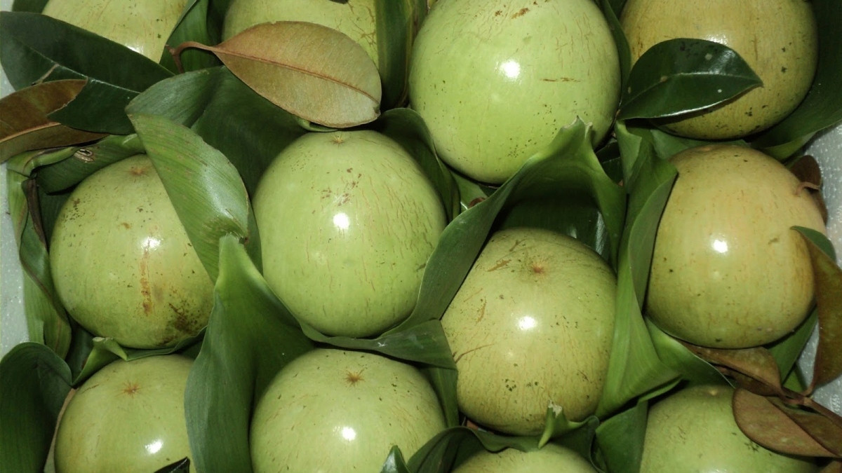 what are seven vietnamese fruits officially licensed for export to us f586e16df6604983b0ae5f17d30c0259