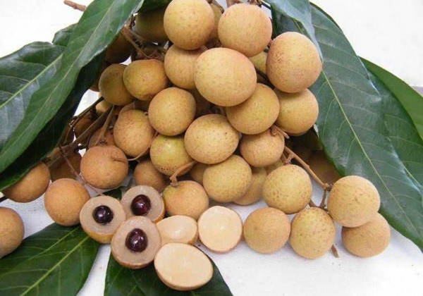 Vietnam finalises procedures to export longan to Japan