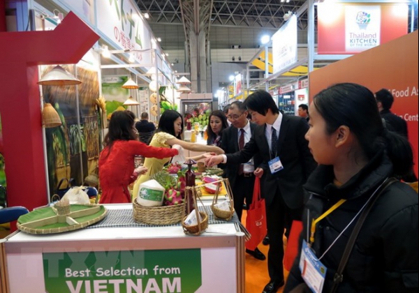 VIETNAM'S RED DRAGON FRUIT AVAILABLE IN JAPANESE MARKET