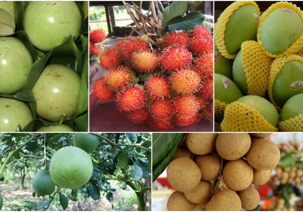 What are seven Vietnamese fruits officially licensed for export to US?