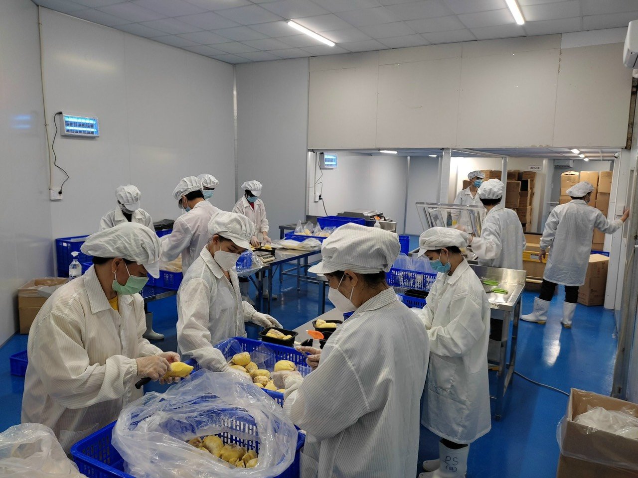 z3955976821880 d988273c10074ec861bb7e77ebafd838