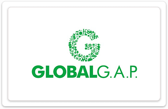 logo GLOBALGAP