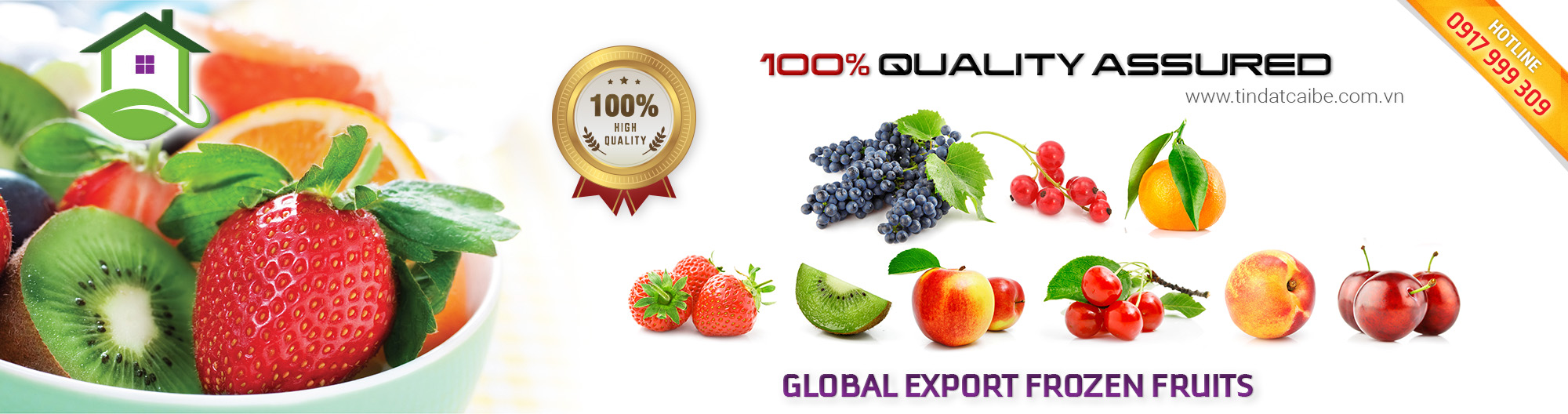 banner tindatcaibe 02