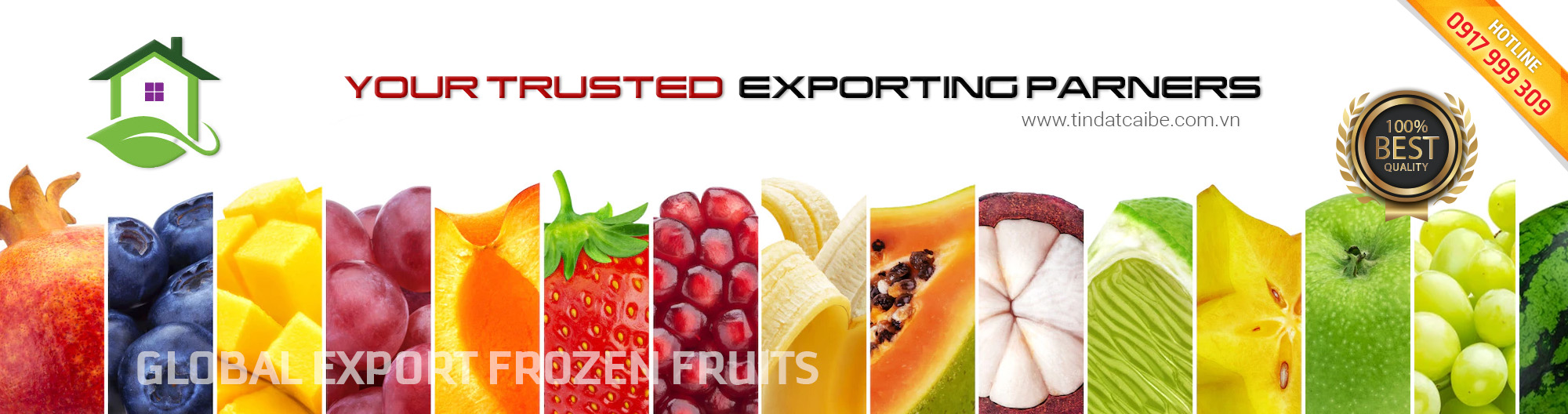 banner tindatcaibe 03