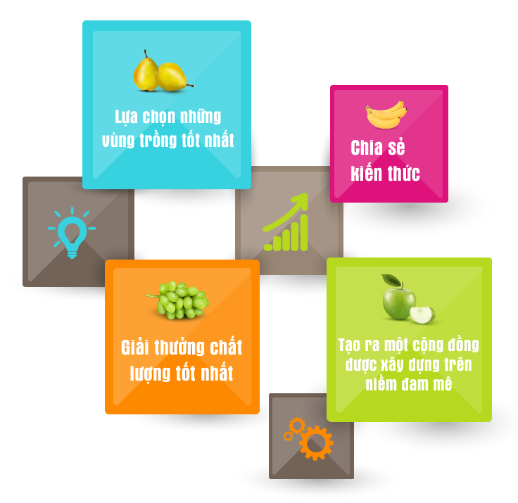 tindat infographic12 01