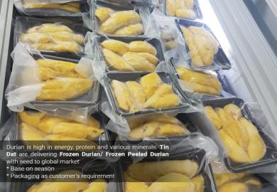 sau-rieng-dong-lanh-dong-khay